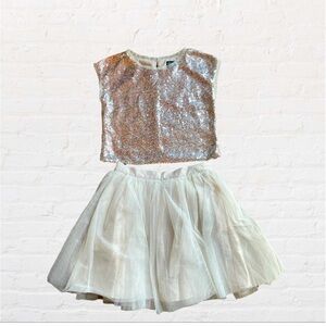 Pink Violet Skirt & Blouse Set